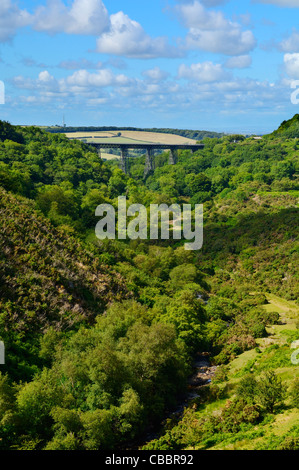 The path of the West Okement River downstream of Meldon Reservoir. In the distance is the viaduct of the disused Dartmoor Railway. Okehampton, Devon, England. Stock Photo