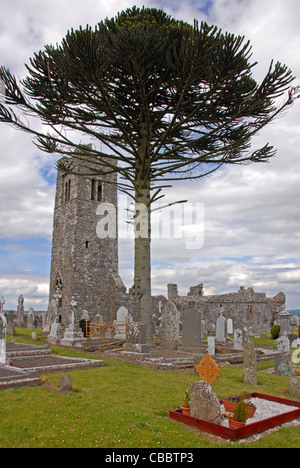 Slane Abbey slane valley Meath Ireland Uk founded in 1512 for 4 priests Stock Photo