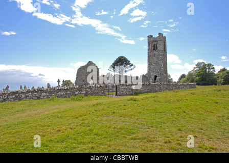 Slane Abbey slane valley Meath Ireland Uk founded in 1512 for 4 priests Stock Photo