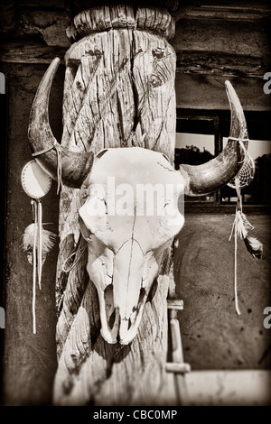 Cow skull hanging on post at Taos Pueblo in New Mexico Stock Photo