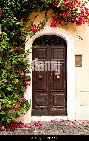 Bougainvillea flowers decorate a doorway in the historic centre of Rome, Italy Stock Photo