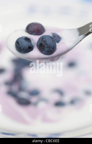 Close up of blueberries and yogurt Stock Photo