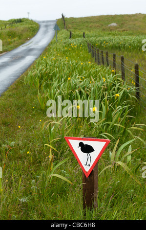 Homemade roadsign warning of birds at the Balranald Nature Reserve on the island of North Uist in the Outer Hebrides, Scotland. Stock Photo