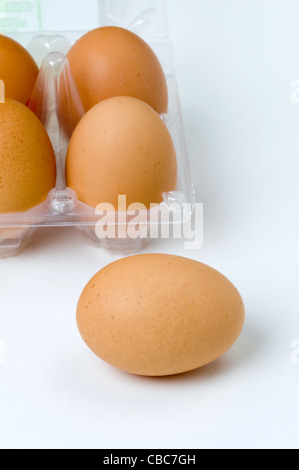 brown hens eggs in a transparent plastic egg tray or box Stock Photo