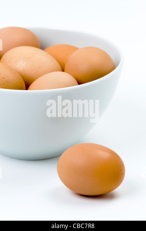 a single brown egg before a white bowl of brown hens eggs against a white background Stock Photo