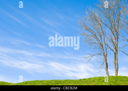 Field of green grass and trees and cloudy sky Stock Photo - Alamy