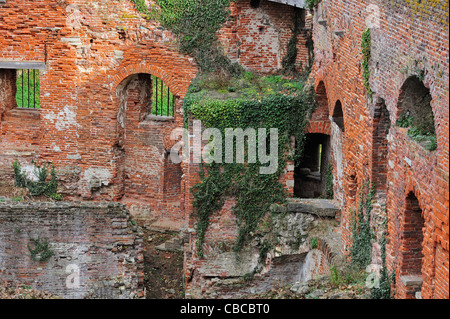 Inner walls of red bricks in ruins covered in ivy of the medieval Beersel Castle, Belgium Stock Photo