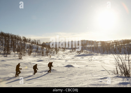 Cross-country skiers walking in snow Stock Photo