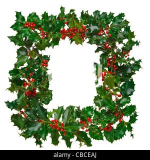 Photo of fresh holly with red berries arranged in a square frame and isolated on a white background. Stock Photo
