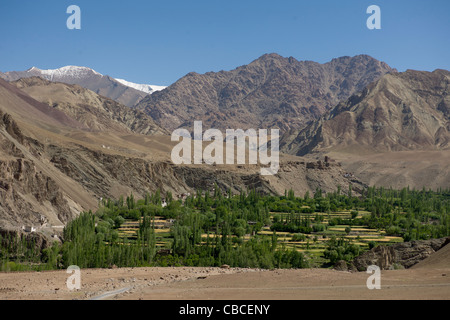 Fertile terraced valley seen on the Srinagar-Leh Highway, near Alchi, (Ladakh) Jammu & Kashmir, India Stock Photo