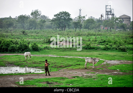 According to regular scientific reports The Union Carbide facility in Bhopal, India is still heavily contaminated with toxins Stock Photo