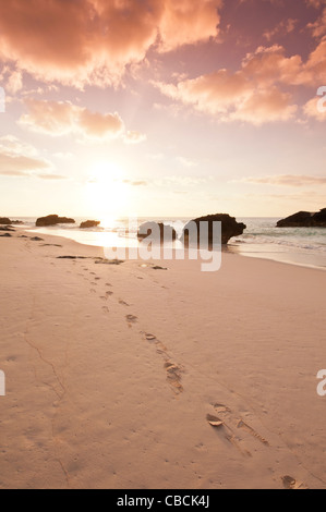 Bermuda. Sunrise and footprints footsteps on Horseshoe Bay beach, Bermuda. Stock Photo