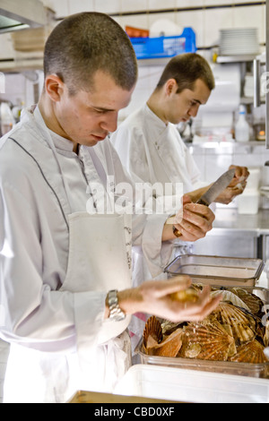 Chefs shelling scallops in commercial kitchen