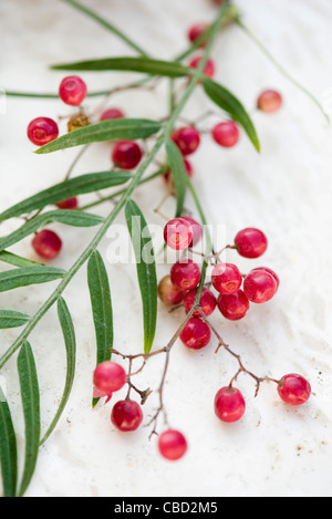 Fresh red peppercorns Stock Photo