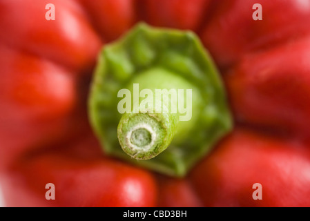 Red bell pepper Stock Photo