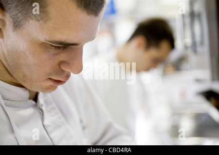 Chefs working in commercial kitchen Stock Photo
