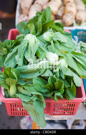 Heap of fresh bok choy in market stall Stock Photo