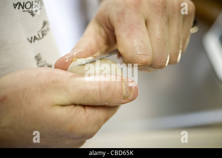 Chef preparing fresh scallops, cropped Stock Photo