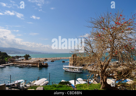 Beautiful Jbeil aka Byblos harbour, Lebanon, ancient Phoenician city dating from 3rd millennium BC Stock Photo