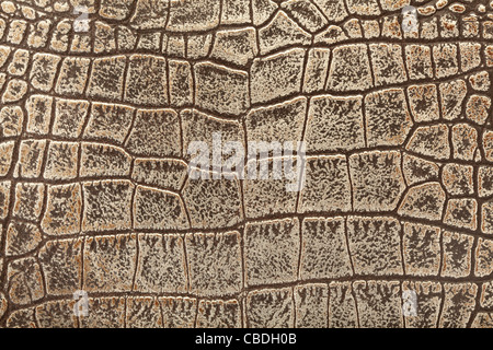 Crocodile leather background Stock Photo