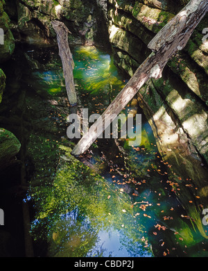 Reflections of the sky and trees on the water of the ravine Gorges de l'Areuse Stock Photo