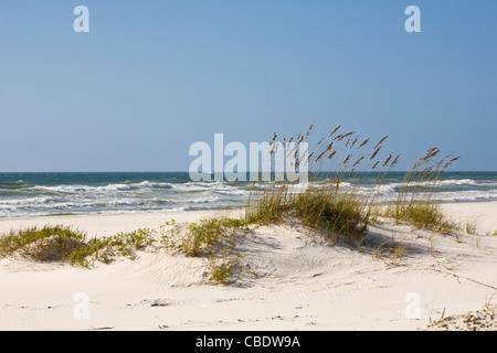 Sand dunes in the Perdido Key Area of Gulf Islands National Seashore ...