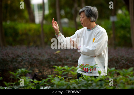 Public early morning Thai Chi exercise group Stock Photo