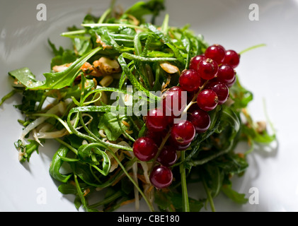 modern salad made with arugula, bean sprouts, hazelnut, lime zest and red currant. Chinese vinaigrette with sesame oil Stock Photo