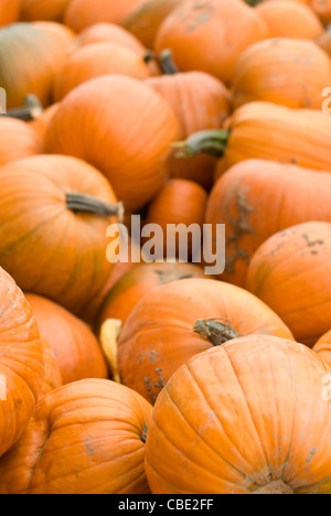 Pile of pumpkins Stock Photo - Alamy
