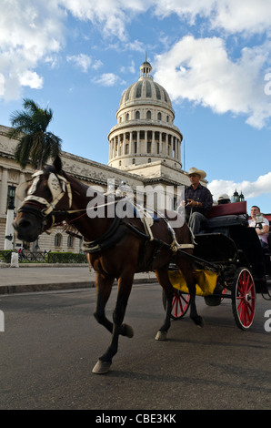 Horse carriage in front of Capitolio Havana Cuba Stock Photo
