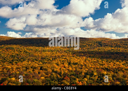 Autumn colors among the canopy of the Ottawa National Forest and Porcupine Mountains Wilderness in Michigan’s Upper Peninsula. Stock Photo