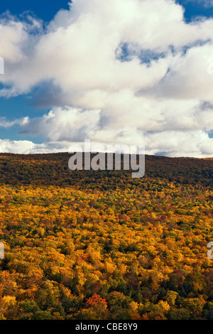 Autumn colors among the canopy of the Ottawa National Forest and Porcupine Mountains Wilderness in Michigan’s Upper Peninsula. Stock Photo