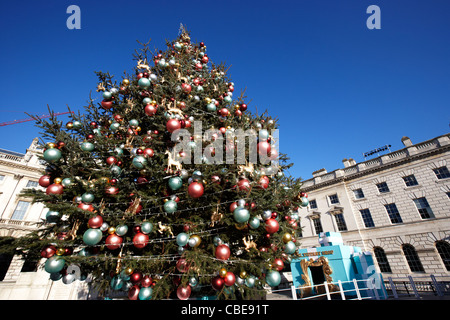 outdoor large christmas tree at somerset house london england united kingdom uk Stock Photo