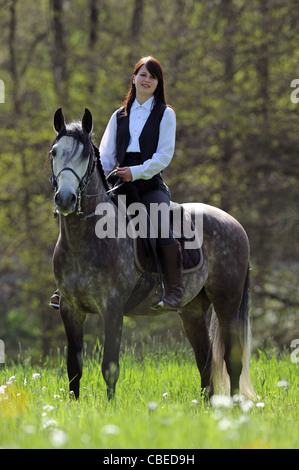 Lusitano (Equus ferus caballus) with rider, standing on a meadow. Stock Photo