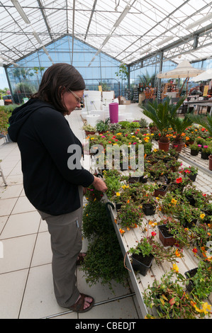 A woman looking at plants for sale in a garden centre. Stock Photo