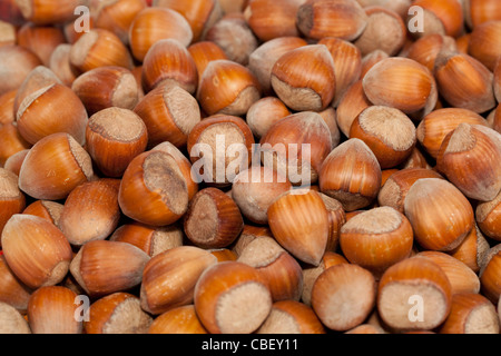 fresh hazelnut in nutshell as background Stock Photo