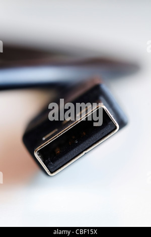 Closeup of a USB lead connector on a white background Stock Photo