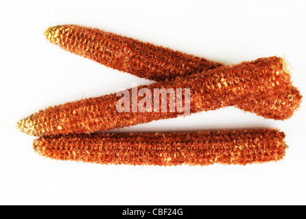 Corn stick on a clear background. Stock Photo