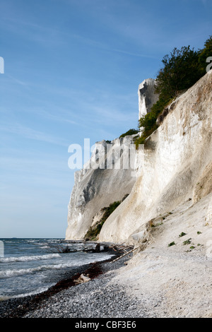 Møns Klint, the steep chalk cliffs up to 120m above sea level on the eastern Baltic Sea coast of island Møn southeast of Sealand, Denmark, Møn or Moen Stock Photo