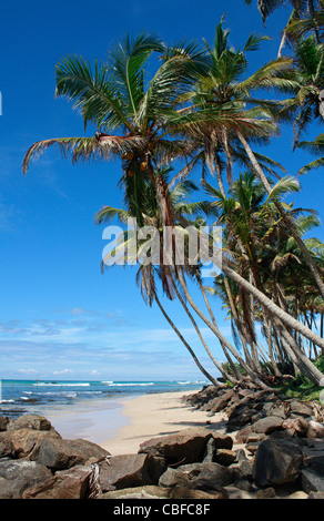Indian Ocean Beach Ambalangoda Galle Sri Lanka Asia Stock Photo