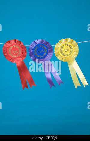 First, second and third prize rosettes on a sheep pen at a county fair ...