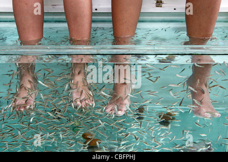 Fish spa therapy treatment showing people sitting with their feet and legs in a water tank with fish eating dead skin in Patong, Stock Photo