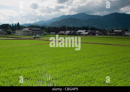 View over rice paddies in the small Japanese village of Seiwa, Mie prefecture, western Honshu, Japan. Stock Photo