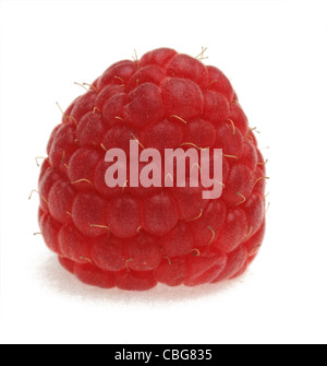Macro shot of a raspberry photographed in a studio against a white background. Stock Photo