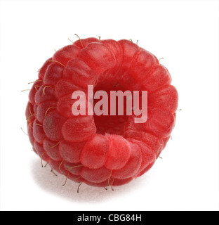 Macro shot of a raspberry photographed in a studio against a white background. Stock Photo