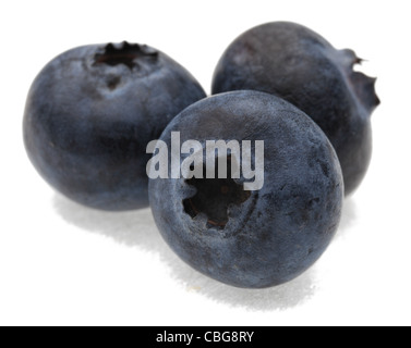 A group of three blueberries photographed in a studio against a white background.Selective focus on the closest blueberry. Stock Photo