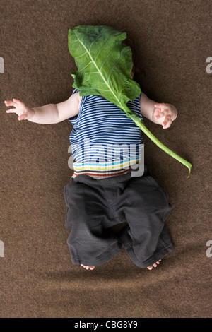 A baby girl lying on the floor with a large leaf covering her face Stock Photo