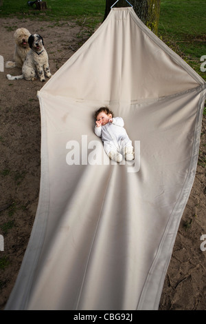 A baby lying in a hammock, two dogs in background Stock Photo