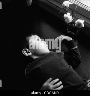 A young boy lying next to a vase of roses, staring out window Stock Photo