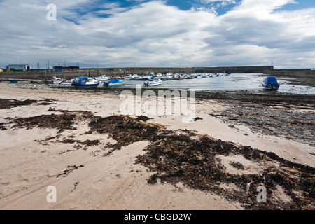 Balintore Harbour, Ross & Cromerty, Scotland Stock Photo